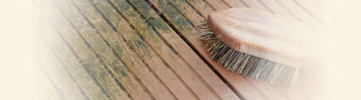 gruenbelagentferner kategorieeinstiegsbanner